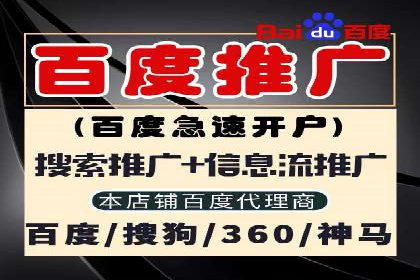 互联网公司SEM代运营成功案例剖析
